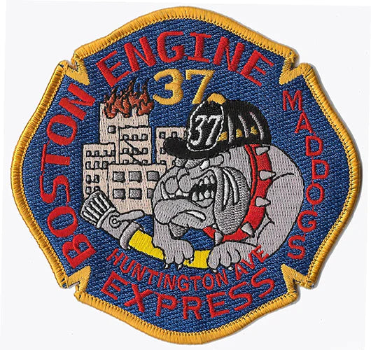 Mad Dogs: Engine 37 Patch